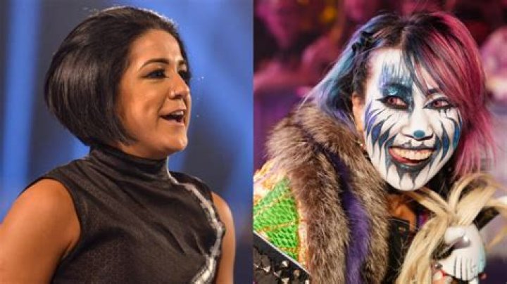 Bayley (wrestler)Bio,Age,Sister,Husband,Net Worth,WWE and Twitter