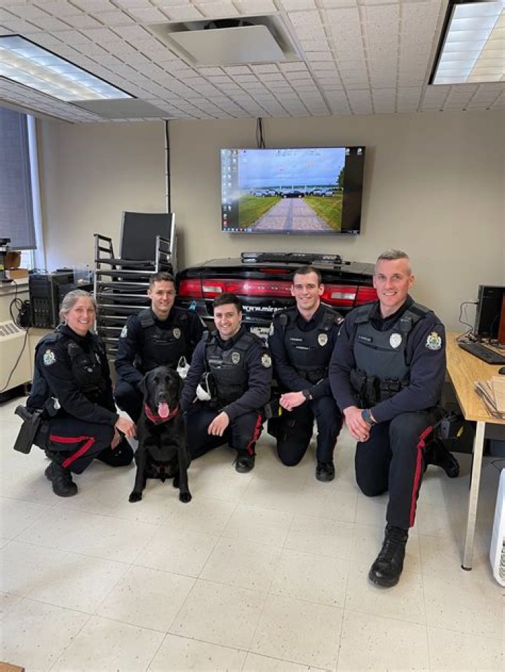 Evan Mcfarlane Obituary: Miramichi Twins Organization Player Death By Accident